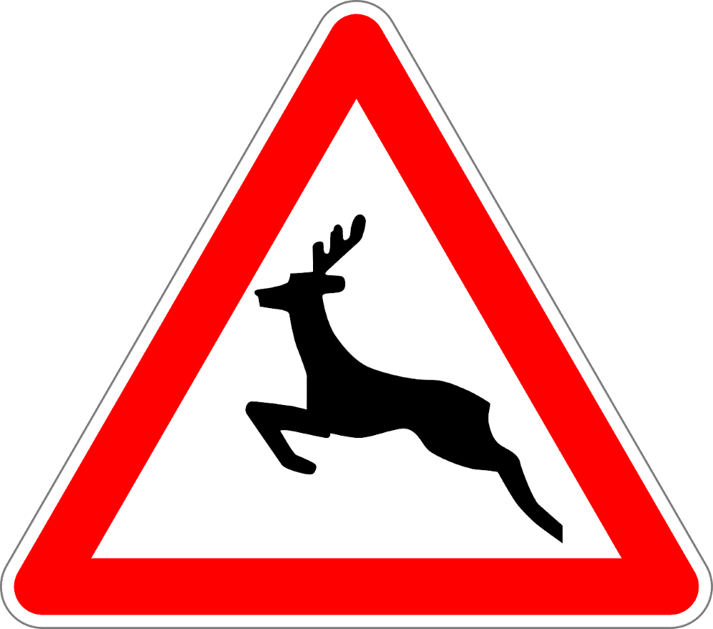 Wildwechsel Schild